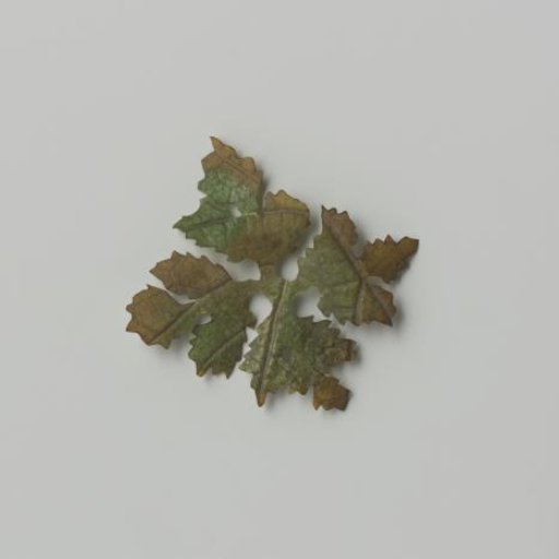 Grape leaf, cut out with veins pressed and colored green / brown on parchment (?)