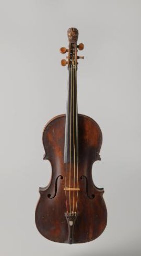 Viola