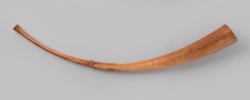 Horn (side-blown horn)