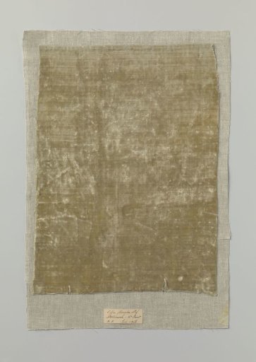 Fragment of beige silk velvet