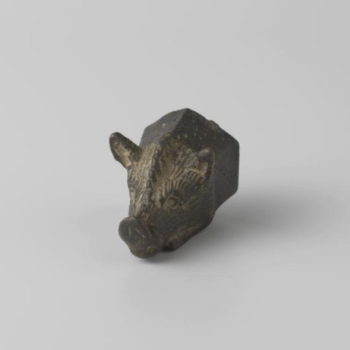 Head of a wild boar