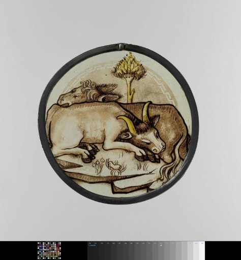 The ox and the donkey