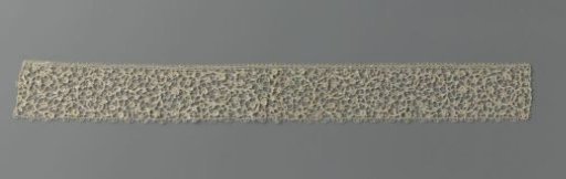 Strip or collar of needle lace with fine vines and small flowers