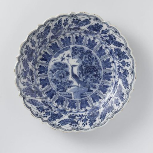 Dish