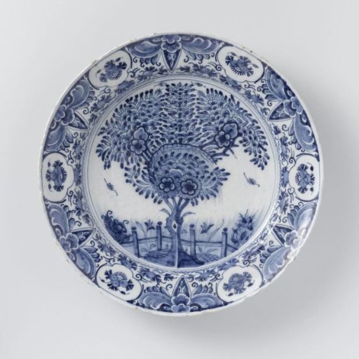 Dish