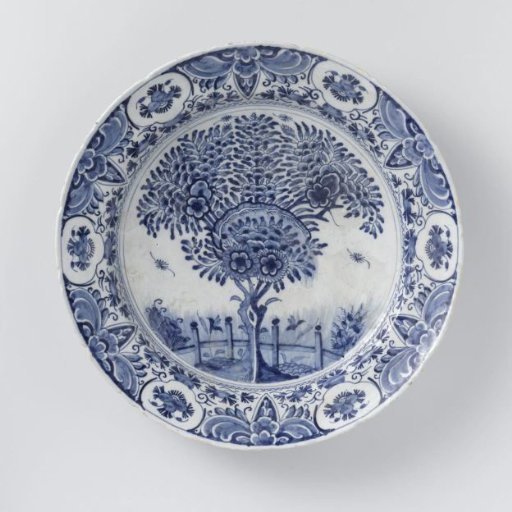 Dish