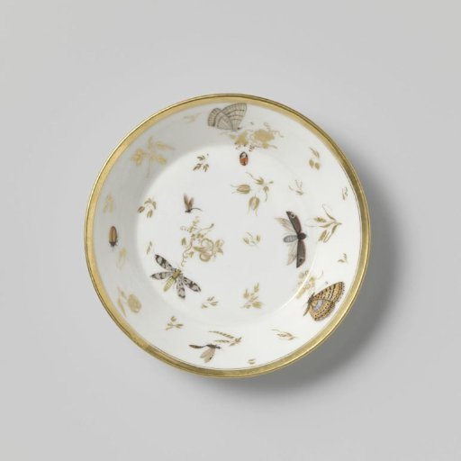 Saucer with insects, flower sprays and grapevines