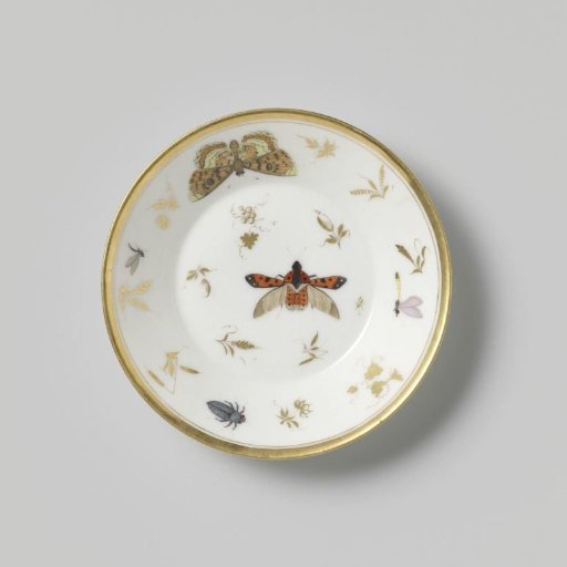 Saucer with insects, flower sprays and grapevines