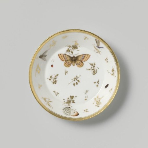 Saucer with insects, flower sprays and grapevines