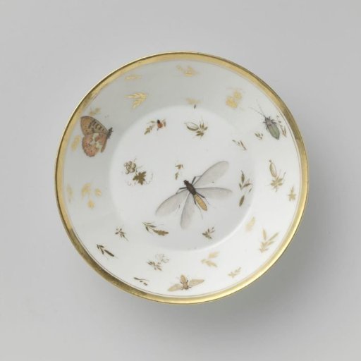 Saucer with insects, flower sprays and grapevines