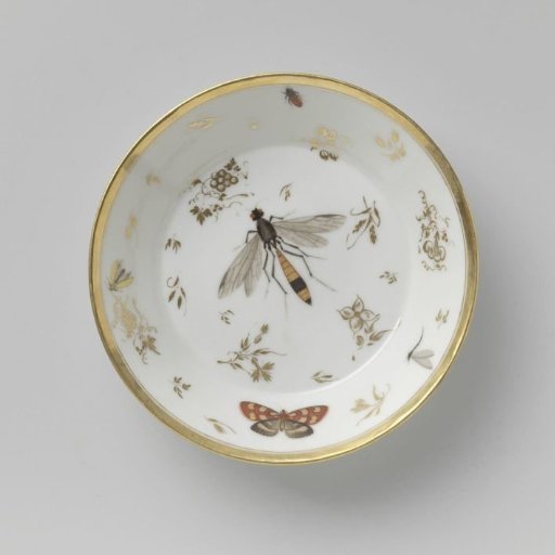 Saucer with insects, flower sprays and grapevines