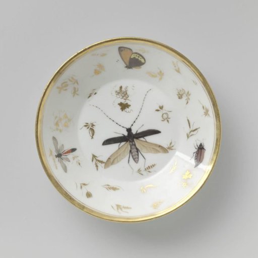 Saucer with insects, flower sprays and grapevines