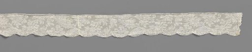 Strip of bobbin lace with cup flowers and feathered leaves