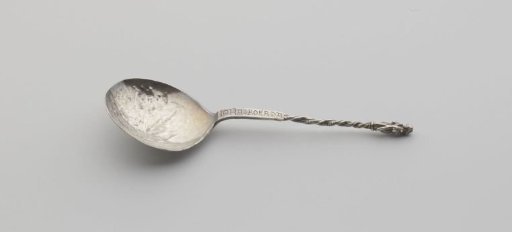 Silver spoon