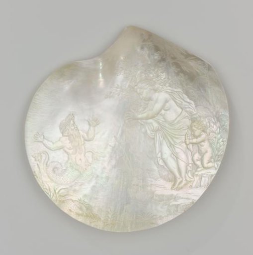 Two decorated shells