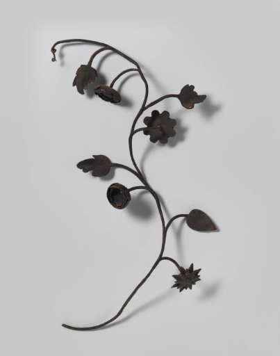 Twining vine with flowers and leaves, belonging to a signboard decorated with wreathed grape clusters