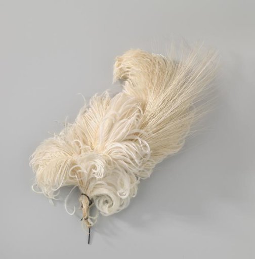 Bunch of various white feathers, including ostrich feathers