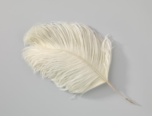 Ostrich feather, white
