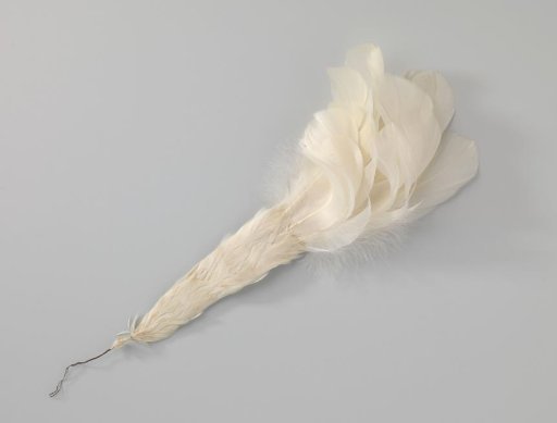 Tuft of cock feathers, white