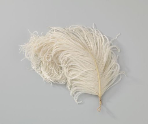 Ostrich feather, white