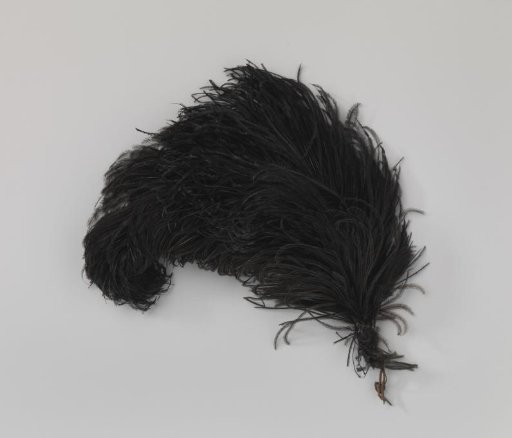 Tuft of black ostrich feathers