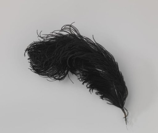 Ostrich feather, black