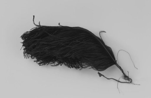 Ostrich feather, black