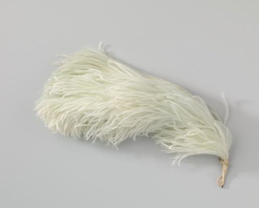 Ostrich feather, light green