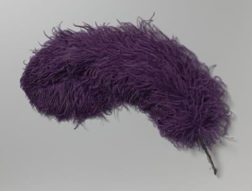 Ostrich feather, purple