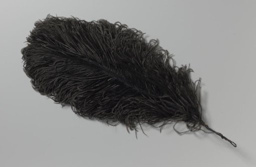 Ostrich feather, black