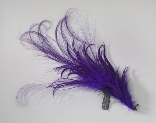Tuft of purple feathers