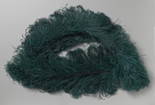 Ostrich feather, dark green