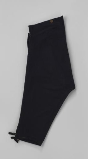 Breeches with fly front, two pockets with flap and button, front fastening with 2 buttons inwards and 2 buttons outwards and legs with 4 buttons and lip; of black cloth.