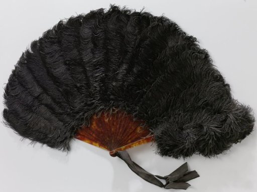 Folding fan with black ostrich feathers on a frame of unadorned tortoiseshell