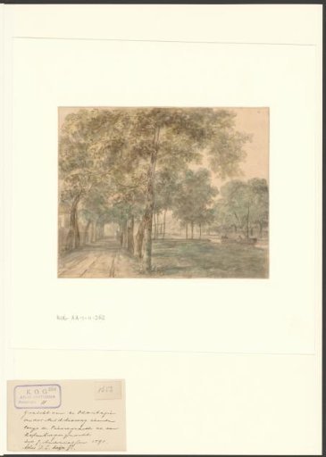 View of the Plantage along the Nieuwe Prinsengracht, looking towards the Rapenburgergracht
