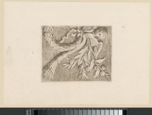 Ornament with a cherub, laurel wreath and flowering branches for a vault in the Town Hall on the Dam