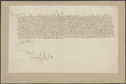 Privilege of Amsterdam, 1488