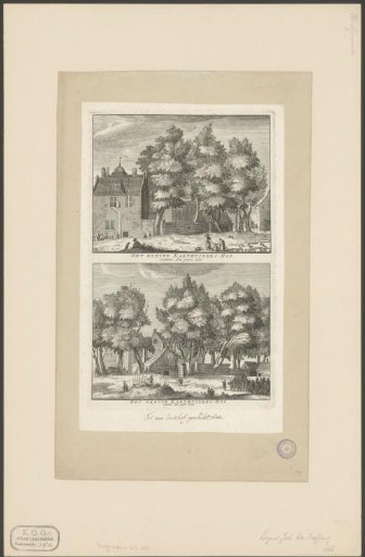 Views of the Kleine and Grote Charterhouse Courtyard in Amsterdam
