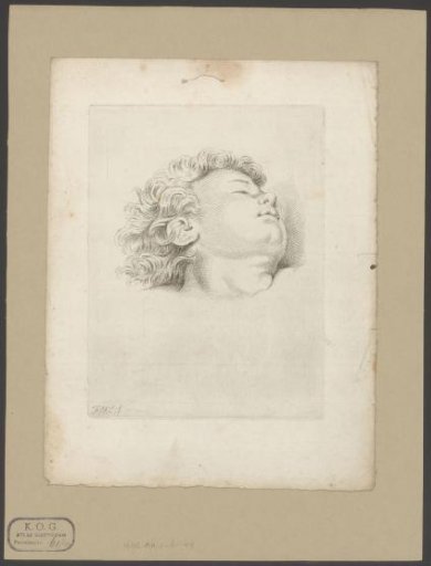 Head of a sleeping child