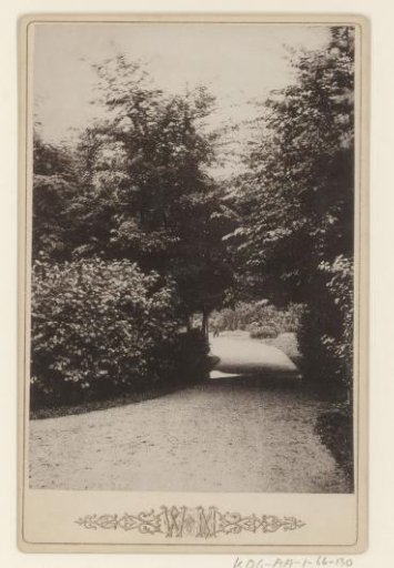 View of a path in Vondelpark, Amsterdam