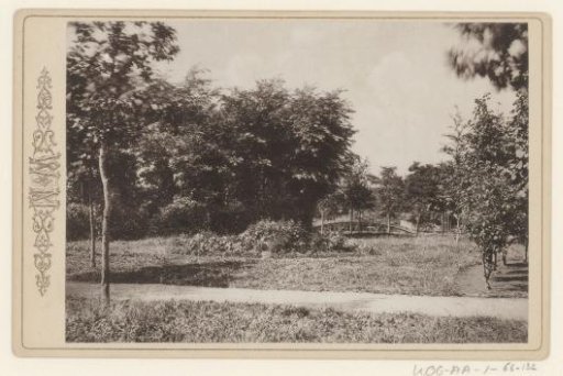 View of Vondelpark, Amsterdam