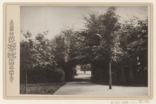 View of a path in Vondelpark, Amsterdam