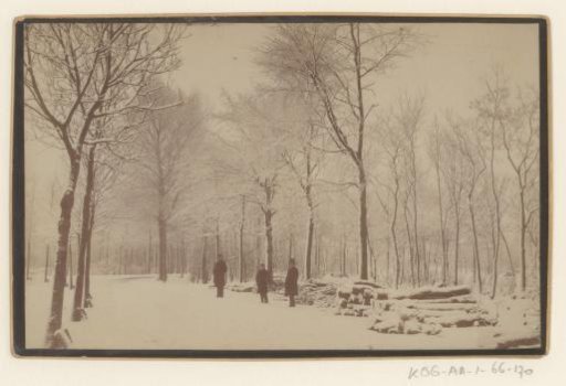 Three men and tree trunks in Vondelpark, Amsterdam, in the snow