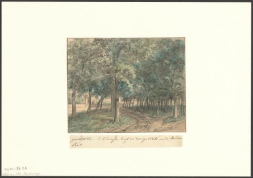 View of the Muiderpoort from the Muiderbos