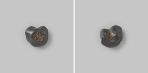 1/4 tical or salung from Thailand, 1650-1850
