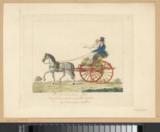 Bridal couple in a North-Holland sleigh