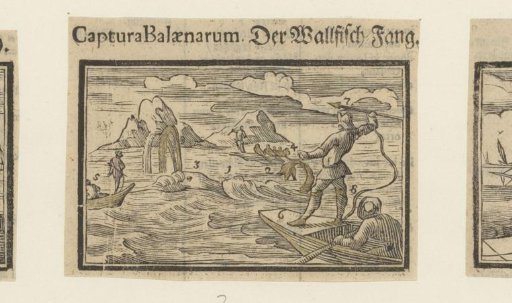 Whale fishery