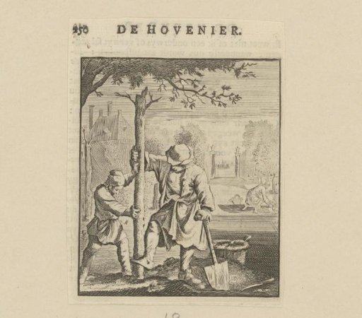 Gardener Planting a Tree