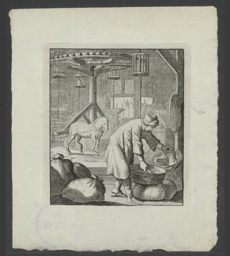 Dyer