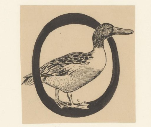 Letter O with a Duck